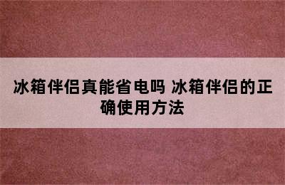 冰箱伴侣真能省电吗 冰箱伴侣的正确使用方法